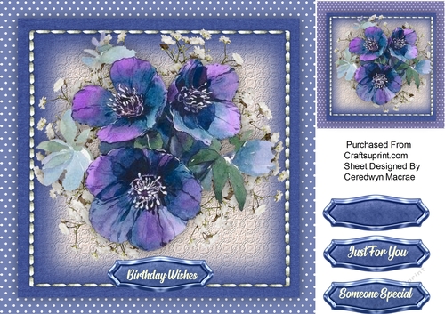 Blue Anemones in a Stitched Frame 