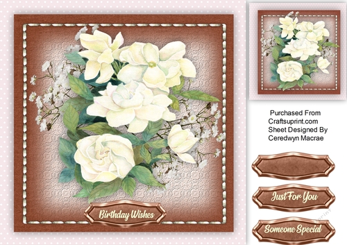 White Roses in a Stitched Frame 