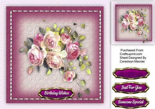 Plum Roses in a Stitched Frame 