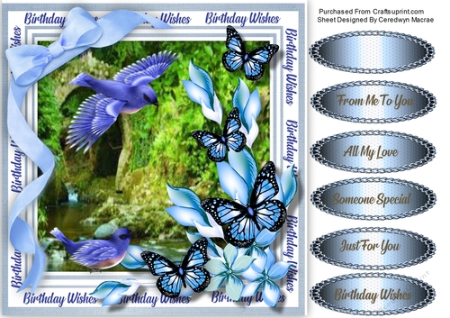 8x8 Bluebirds and Butterflies
