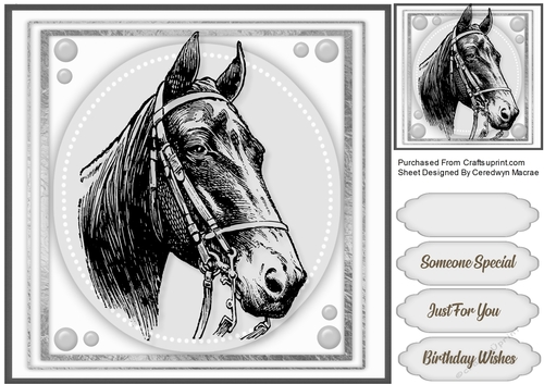 Beautiful lack Horse Sketch