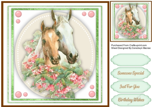 Beautiful Horses and Pink Roses 