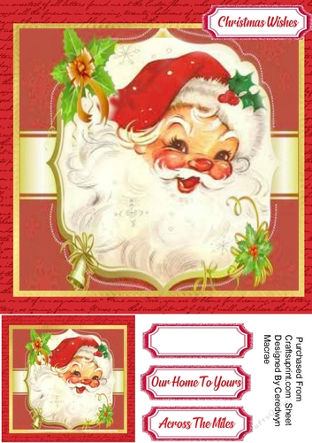 Beautiful Jolly Santa 