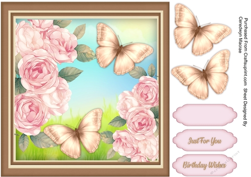 Beautiful Pink Rosesand Butterflies