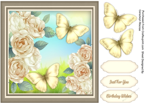 Beautiful Cream Roses and Butterflies