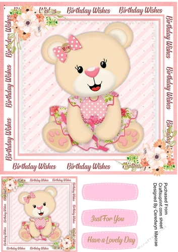 Beautiful Little Pink Bear