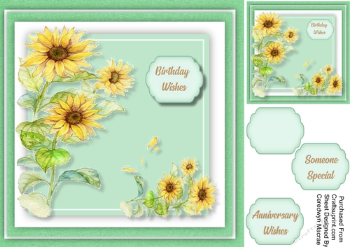 Beautiful Sunflower Yellow