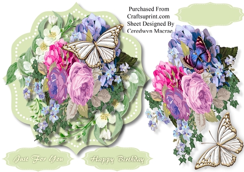 Beautiful Roses and White Butterfly