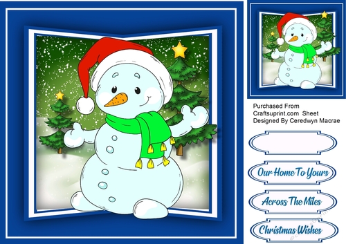 Snowys Green Scarf 