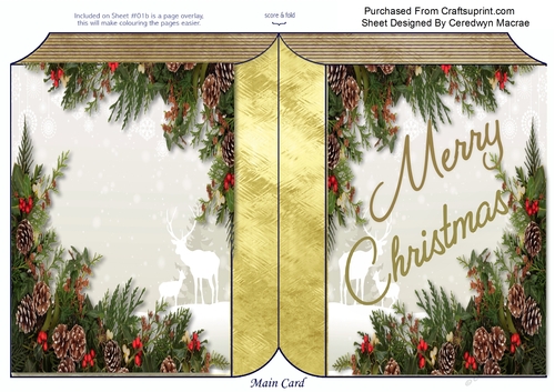 Beautiful Christmas Book , Gold