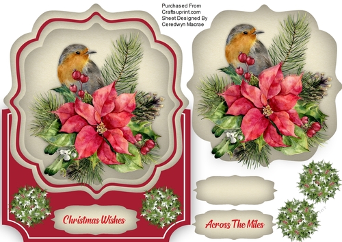 Over The Edge, Robin and Poinsettias