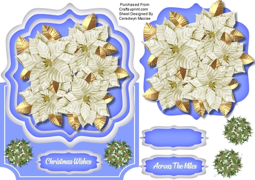 Over The Edge,White Poinsettias
