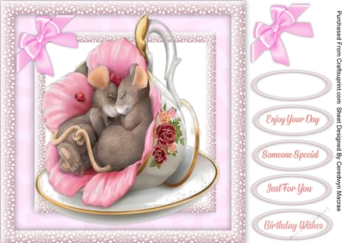 Gorgeous Snuggle Mice in a Cup