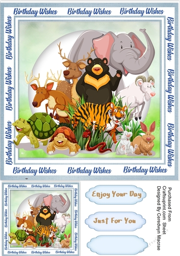 Birthday Zoo Friends  2