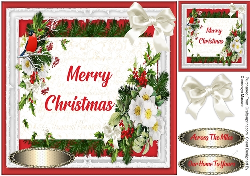 Beautiful Christmas Roses  