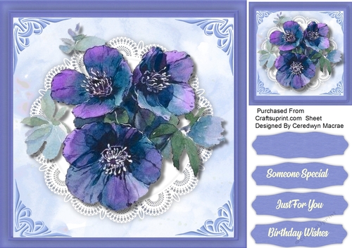 Beautiful Blue Anemones on lace 