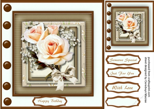 Beautiful Cream Roses