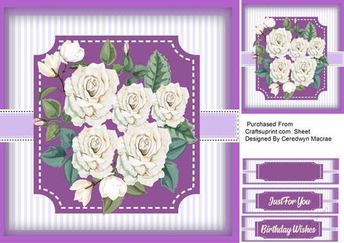 Stunning White Roses 