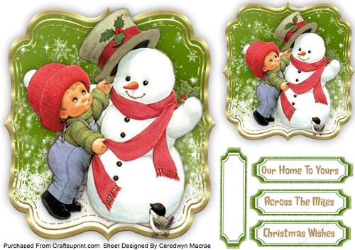 The Little Boy and Snowman 