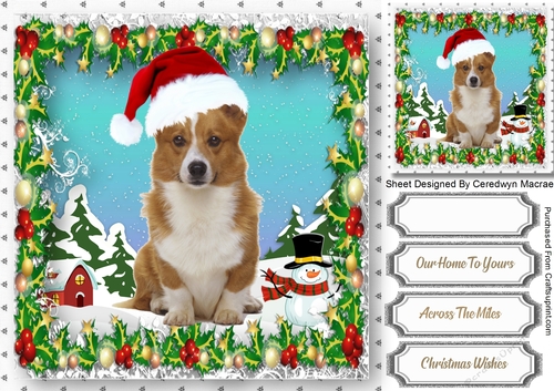 Gorgeous Corgie in his Christmas Hat 