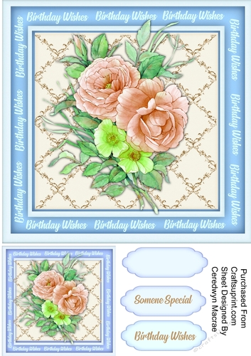 Gorgeous Birthday Roses 4