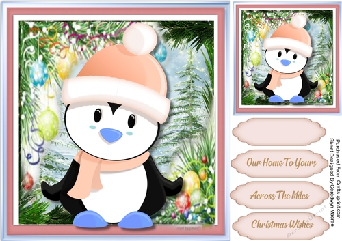 Penguin in his Pink Hat 