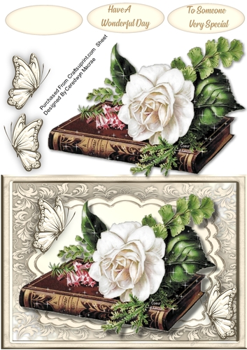 Beautiful Rose on a Book