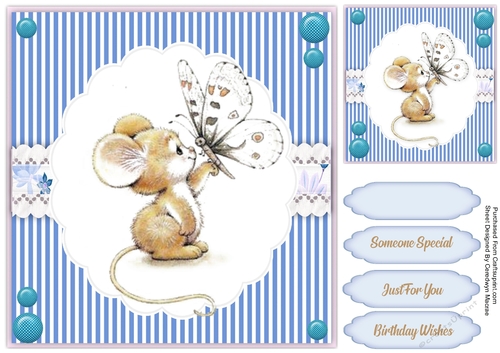 The Little Butterfly Mouse 