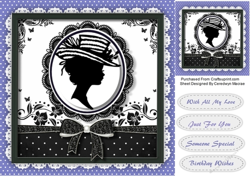 Beautiful Silhouette Lady 1