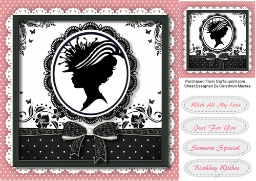Beautiful Silhouette Lady 2