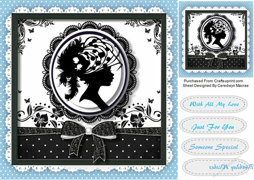 Beautiful Silhouette Lady 3