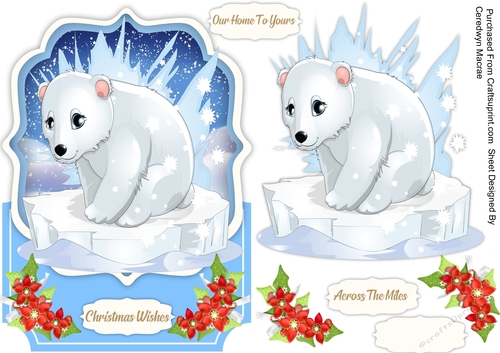 Over The Edge ,Beautiful Pola Bear