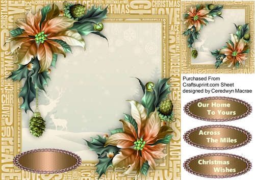 Beautiful gold Poinsettias