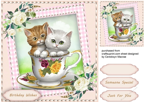 A Cup of Fluffy Fun