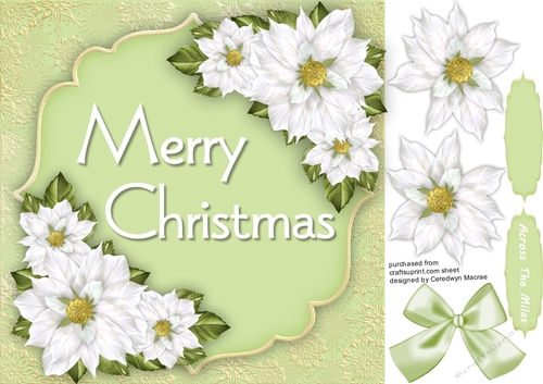 Golden Snowflakes and Poinsettis 2