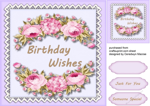 Lilac Roses and Birthday Wishes