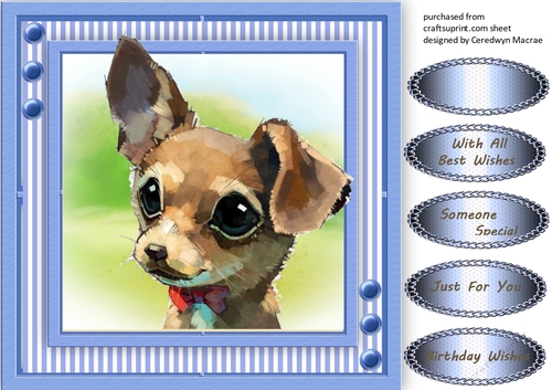 Beautiful Water Coloured Chihuahua