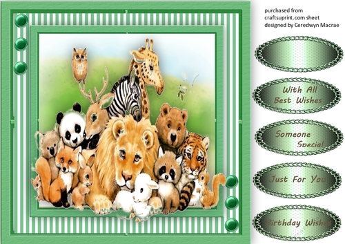Lovely Animal Friends 