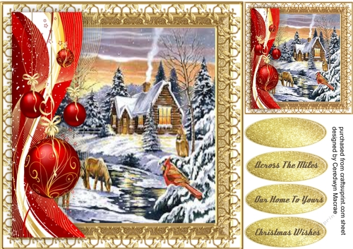 Beautiful Snow Scene and  Baubles