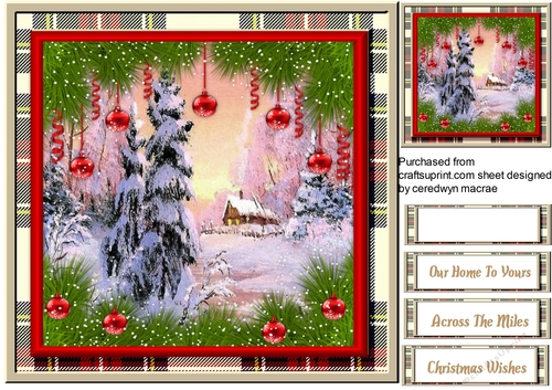 Beautiful Scene and Baubles 1