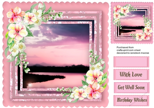 Beautiful Pink Sunset