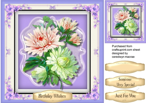 Beautiful Lilac Chrysanthemums  in a Flower Frame 