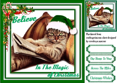 Believe in the Magic of Christmas , Green