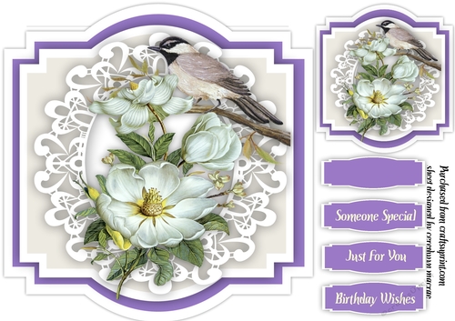 Beautiful  White Fragrant   Roses With Bird 