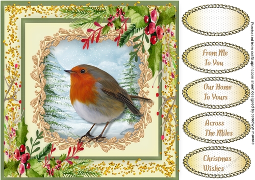 Beautiful Robin and Holly