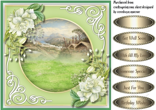 Stunning White Roses and Forest Scene 