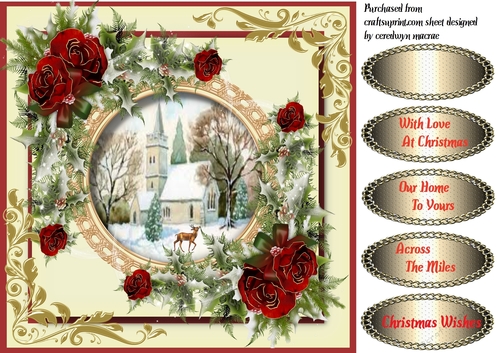 Beautiful Christmas Roses 
