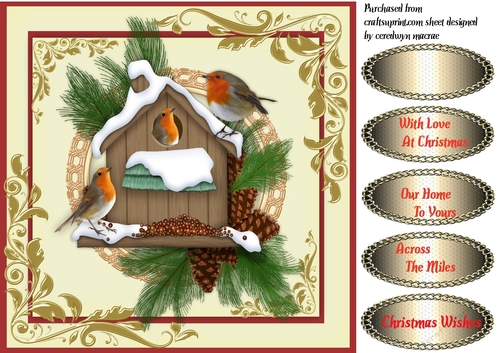 Beautiful Robins on the nest