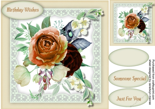 Beautiful Boho with Gentle Jasmine
