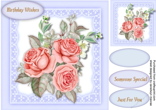 Beautiful Pink Roses with Gentle Jasmine